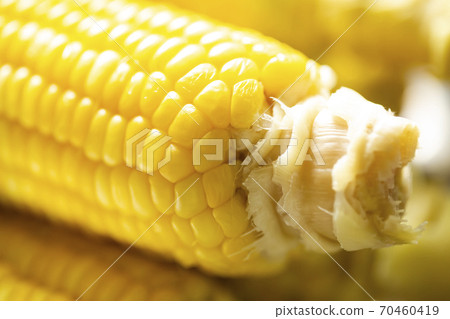 Boiled corn shaft, core up 70460419