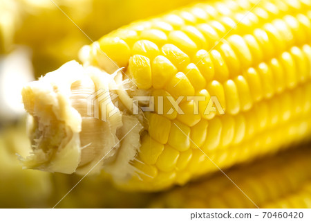Boiled corn shaft, core up Boiled corn shaft, core up 70460420