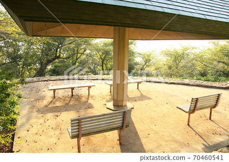 Park bench and evening Park bench and evening 70460541