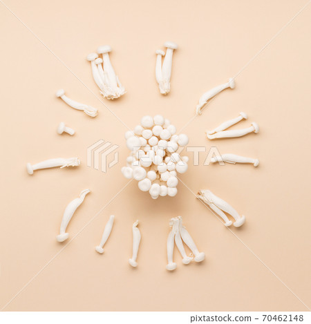 White beech mushrooms or Shimeji mushroom on pastel beige paper background. White beech mushrooms or Shimeji mushroom on pastel beige paper background. 70462148
