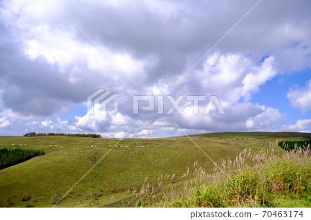 Heavy traffic in tourist areas (Kirigamine Plateau) Heavy traffic in tourist areas (Kirigamine Plateau) 70463174