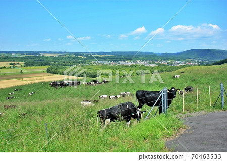 北海道十勝牧場 北海道十勝牧場 70463533