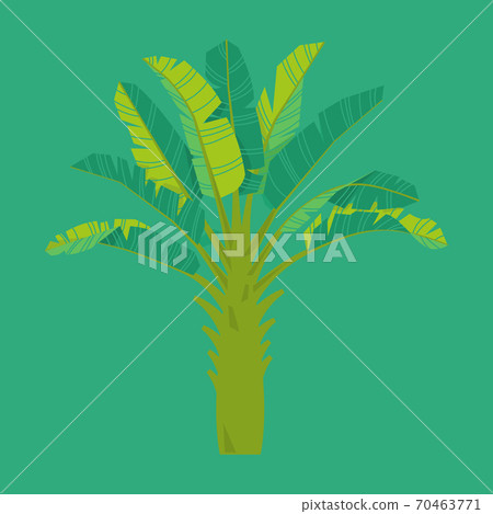fronds_templates-05.eps 70463771