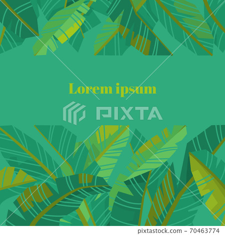 fronds_templates-02.eps 70463774