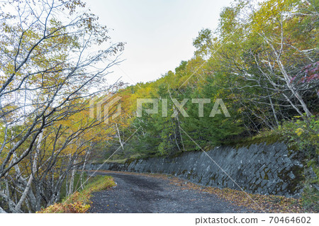 秋葉山步道/富士山第五站 70464602