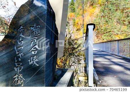 日光市瀨戶峽谷和懸索橋 日光市瀨戶峽谷和懸索橋 70465199