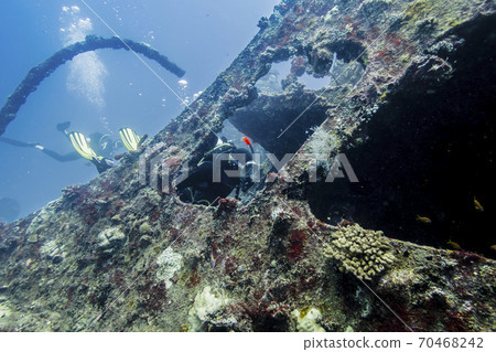 Sunken ship covered in coral and a diver swimming into the ship 70468242