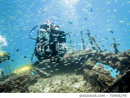 Driver on the bow of a sunken ship in a flock of small fish Driver on the bow of a sunken ship in a flock of small fish 70468246