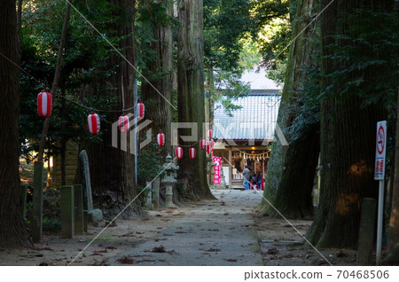 一排杉樹,通往日吉神社(千葉縣東京市) 一排杉樹,通往日吉神社(千葉縣東京市) 70468506