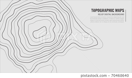 Grey Contours Vector Topography. Grey Contours Vector Topography. 70468640
