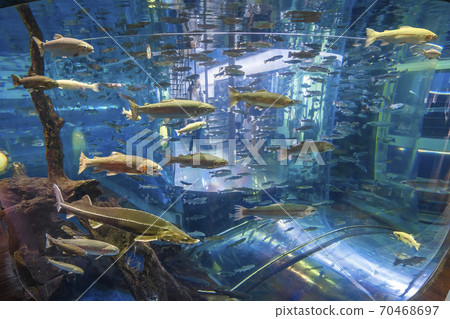 森林中的水族館Shinobu Village 森林中的水族館Shinobu Village 70468697
