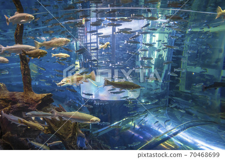 森林中的水族館Shinobu Village 森林中的水族館Shinobu Village 70468699