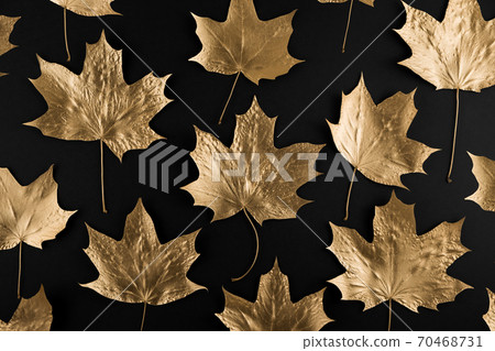 Autumn composition. Pattern made of autumn golden marple leaves on black background. Flat lay, top view, copy space Autumn composition. Pattern made of autumn golden marple leaves on black background. Flat lay, top view, copy space 70468731
