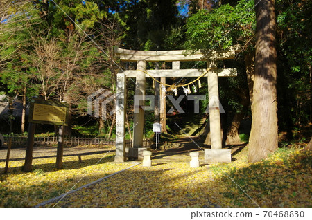 日吉神社的鳥居（千葉縣東京市） 70468830