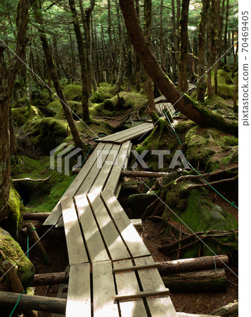 [長野縣]八岳_幽靈之森03 70469405