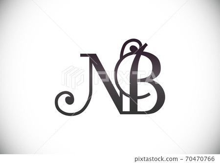 100,000 Logo nb Vector Images | Depositphotos