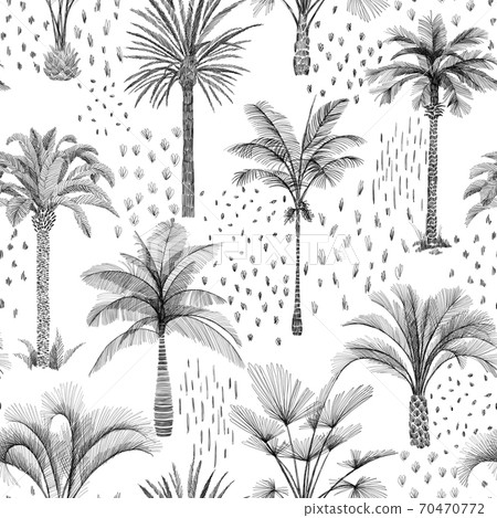 Summer botanical background. Palm tree seamless pattern. 70470772