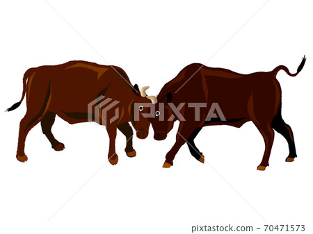 Bullfighting Bullfighting 70471573