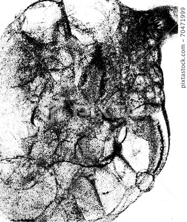 Vector grunge texture 17 70471999