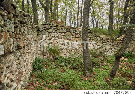 Old Stone Wall in a forest Old Stone Wall in a forest 70472892