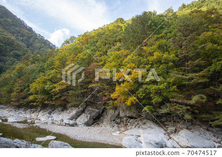 Baekdam Valley，Seoraksan，Inje-gun，江原道 70474517