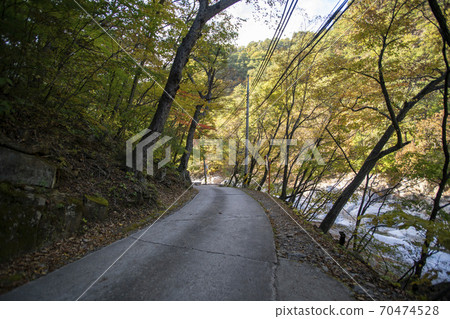 Baekdam Valley，Seoraksan，Inje-gun，江原道 70474528