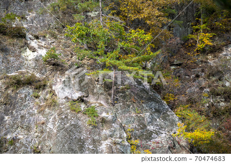 Baekdam Valley, Seoraksan, Inje-gun, Gangwon-do Baekdam Valley, Seoraksan, Inje-gun, Gangwon-do 70474683