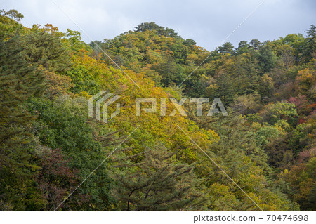 Baekdam Valley, Seoraksan, Inje-gun, Gangwon-do 70474698