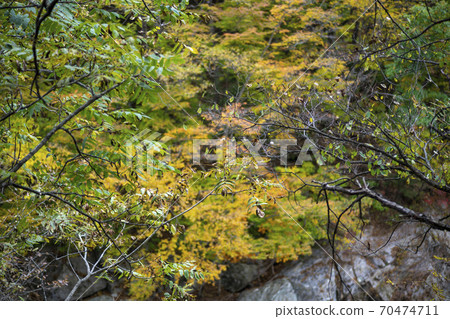 Baekdam Valley, Seoraksan, Inje-gun, Gangwon-do 70474711