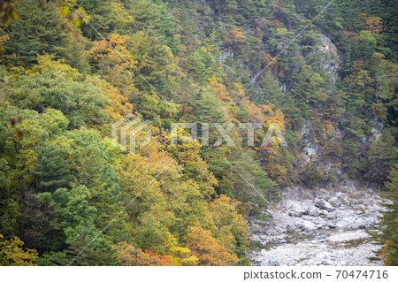 Baekdam Valley,Seoraksan,Inje-gun,江原道 Baekdam Valley,Seoraksan,Inje-gun,江原道 70474716