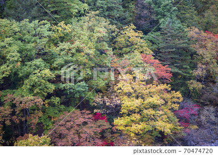 Baekdam Valley, Seoraksan, Inje-gun, Gangwon-do Baekdam Valley, Seoraksan, Inje-gun, Gangwon-do 70474720