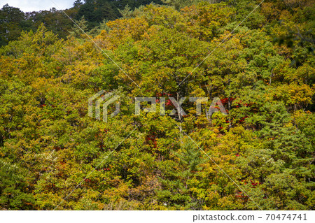 Baekdam Valley, Seoraksan, Inje-gun, Gangwon-do 70474741