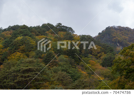 Baekdam Valley, Seoraksan, Inje-gun, Gangwon-do Baekdam Valley, Seoraksan, Inje-gun, Gangwon-do 70474786
