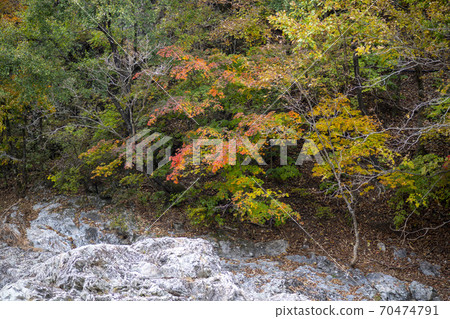 Baekdam Valley, Seoraksan, Inje-gun, Gangwon-do 70474791