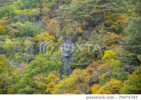 Baekdam Valley, Seoraksan, Inje-gun, Gangwon-do Baekdam Valley, Seoraksan, Inje-gun, Gangwon-do 70474793