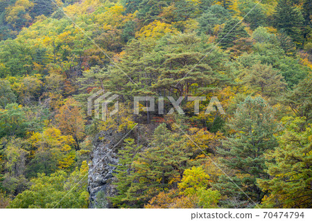Baekdam Valley, Seoraksan, Inje-gun, Gangwon-do Baekdam Valley, Seoraksan, Inje-gun, Gangwon-do 70474794