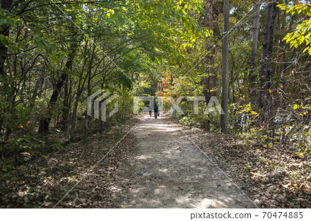 Baekdam Valley, Seoraksan, Inje-gun, Gangwon-do Baekdam Valley, Seoraksan, Inje-gun, Gangwon-do 70474885