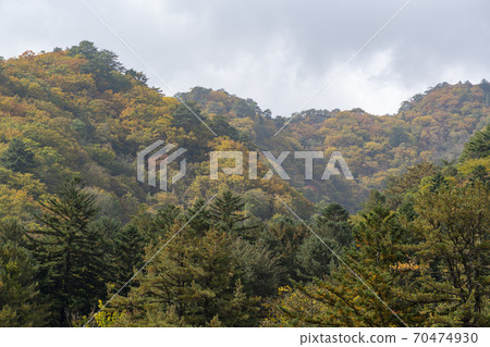 Baekdam Valley, Seoraksan, Inje-gun, Gangwon-do Baekdam Valley, Seoraksan, Inje-gun, Gangwon-do 70474930