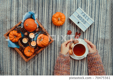 Top view female hands holding cup of tea near autumn cozy composition with pumpkins, candles on wooden tray and Fall mood message on lightbox on striped fabric background. Hygge mood concept. Flat lay 70475561