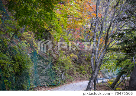 Seorak Mountain, Inje County, Gangwon Province Seorak Mountain, Inje County, Gangwon Province 70475566