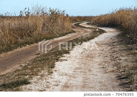 dirt road in the field in autumn, high dry grass, bright day 70476393