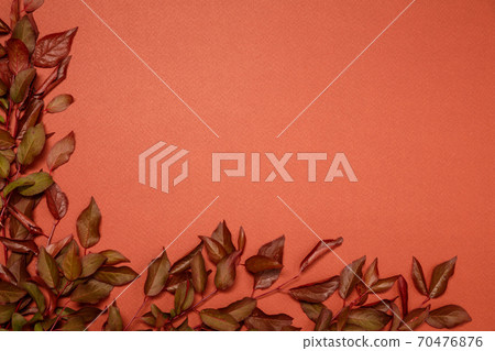 Beautiful red and dark brown foliage on orange background, view from above, flat lay, frame form, textures and backgrounds, template for greeting card and invitations 70476876