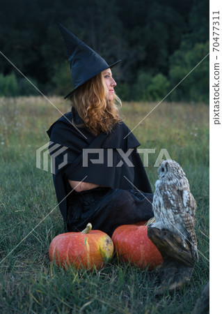 Witch with an owl waiting Witch with an owl waiting 70477311