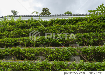 The wall seen from the Ikeda Castle Tojo Road in Osaka 70477795