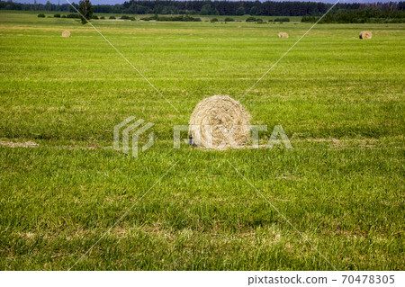 agriculture for growing cereals agriculture for growing cereals 70478305