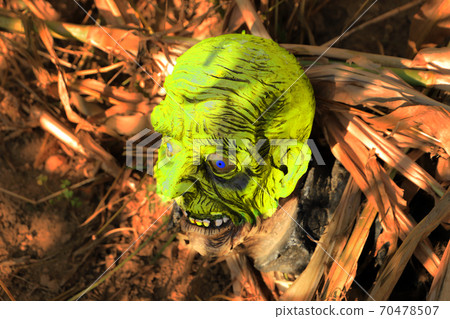 Halloween concept of scary skull head on the ground, sticking out Halloween concept of scary skull head on the ground, sticking out 70478507