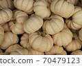 Fresh mini white pumpkin at market place. Holiday concept. Organic food. 70479123