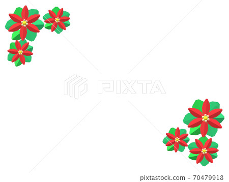 一品紅 一品紅 70479918