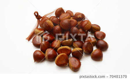 Chestnuts in the net and loose chestnuts Chestnuts in the net and loose chestnuts 70481370