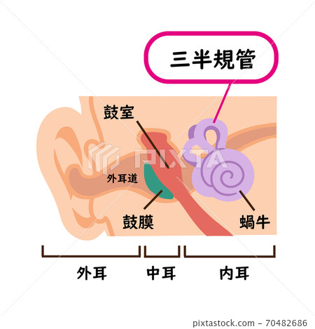 Illustration material of semicircular canals 70482686